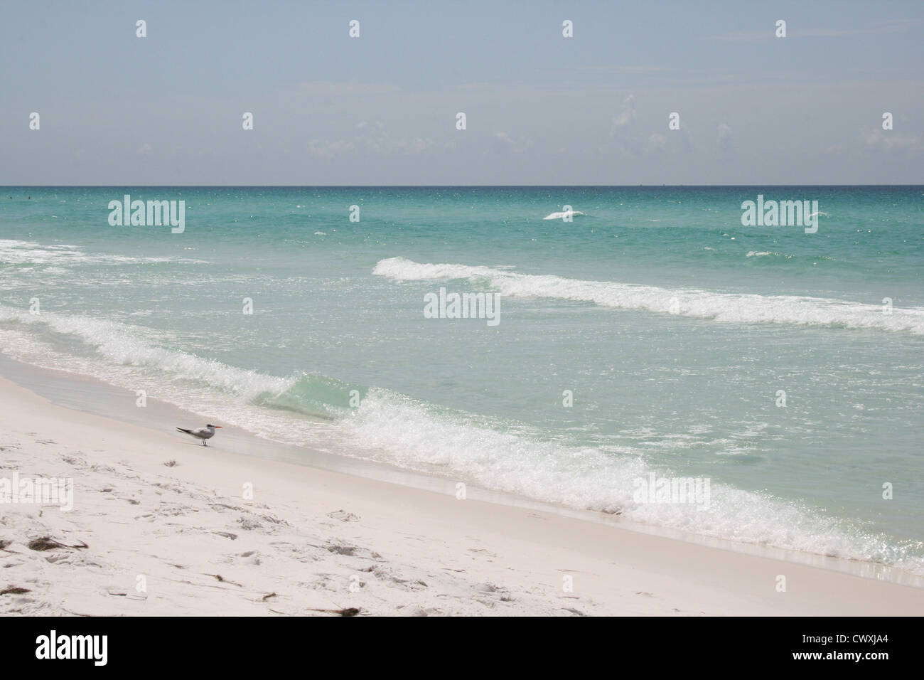 Panama City Beach, Florida gulf Coast smaragdgrünen See kristallklares Wasser Stockfoto