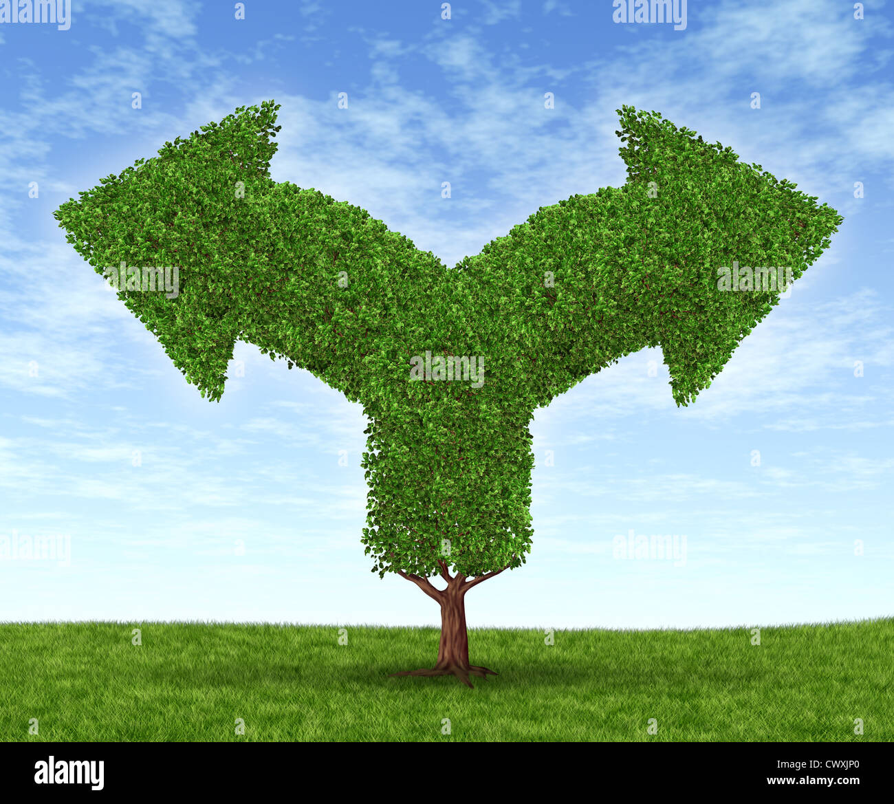 Wachsende Geschäftsmöglichkeiten und finanziellen Dilemma durch Zunahme der finanziellen Vermögen als Baum und Blätter in der Form des gegabelten Pfeile auf einen blauen Sommerhimmel mit grünen Rasen in entgegengesetzte Richtungen gehen. Stockfoto