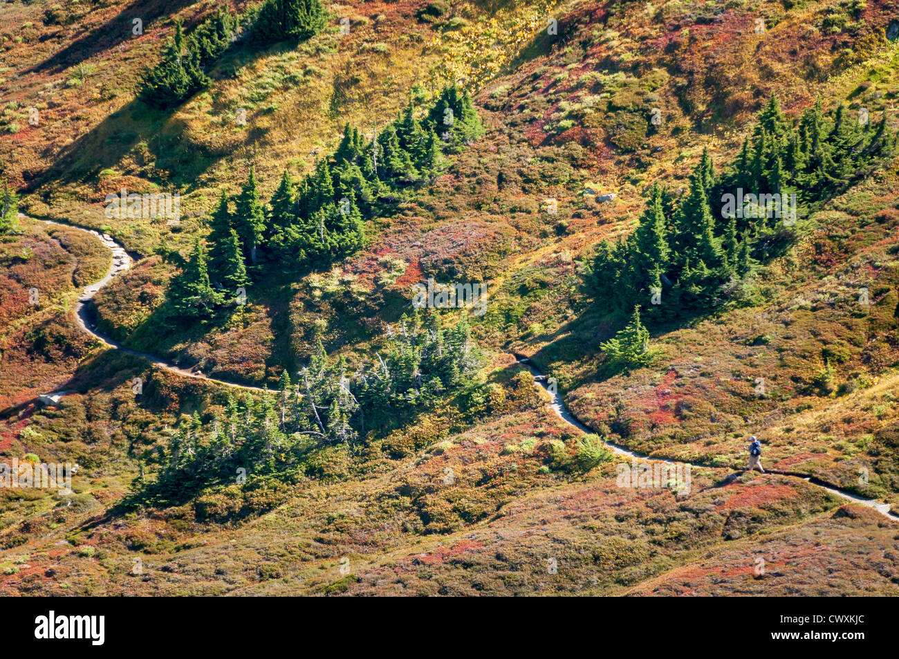 Wanderer auf Sahale Arm Trail, Cascade Pass, North Cascades National Park, Washington. Stockfoto