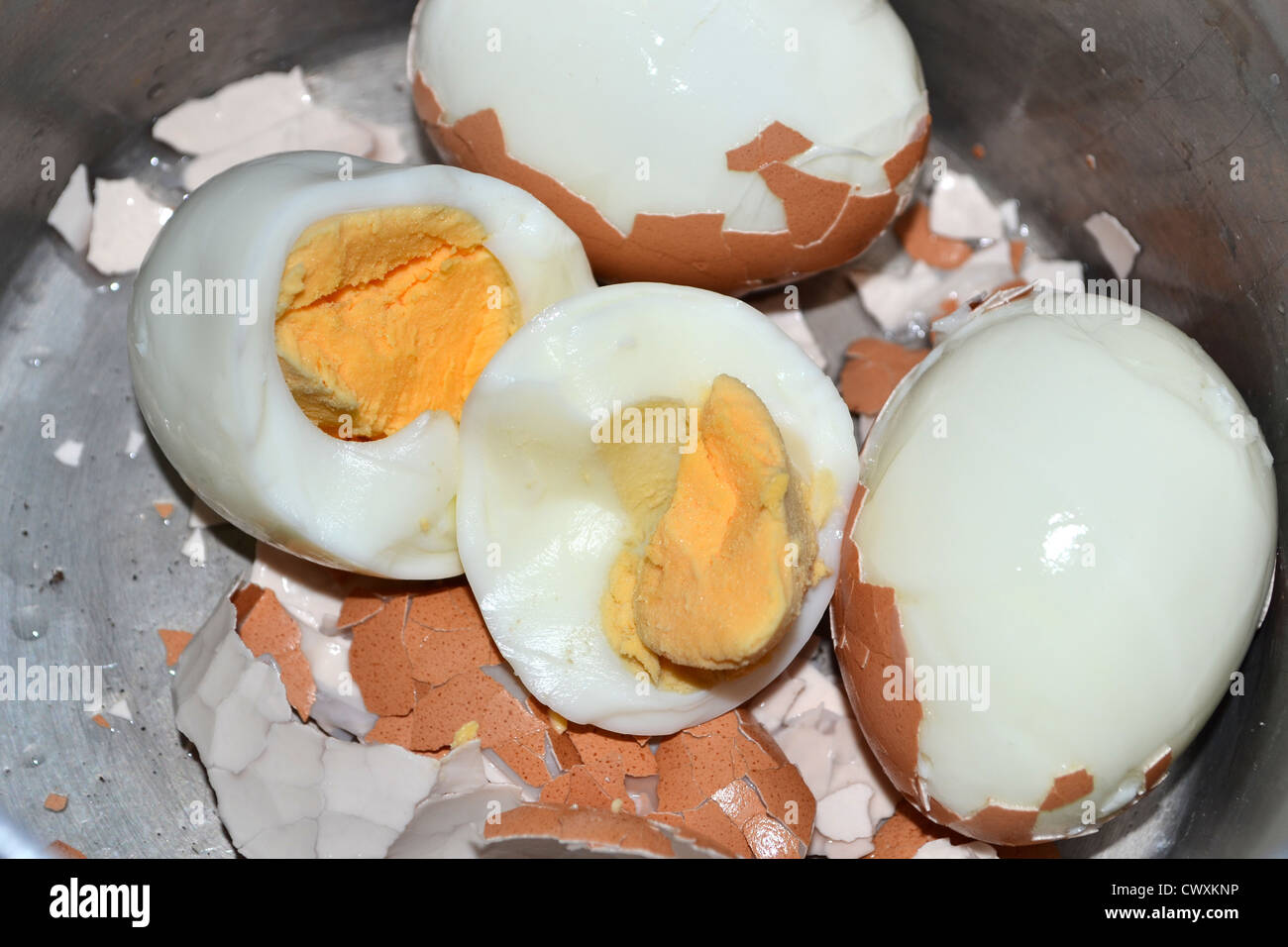 gekochten Eiern in Topf mit Muscheln Stockfoto