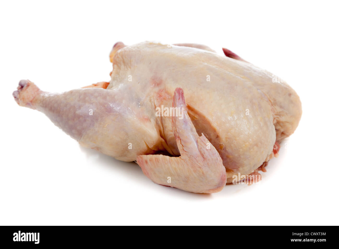 Eine ganze rohe Huhn auf weißem Hintergrund Stockfoto