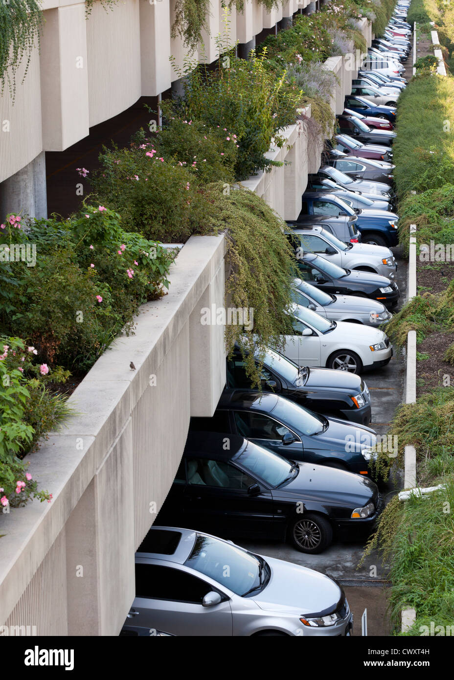 Teilweise offener Parkplatz Stockfoto