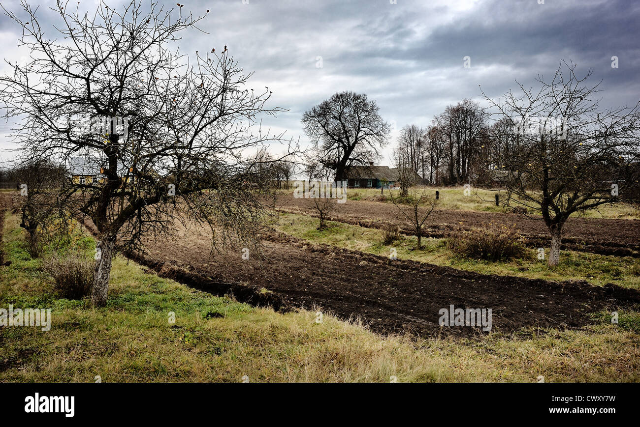 Dorf im Herbst, das Haus und gepflügtes Feld Stockfoto