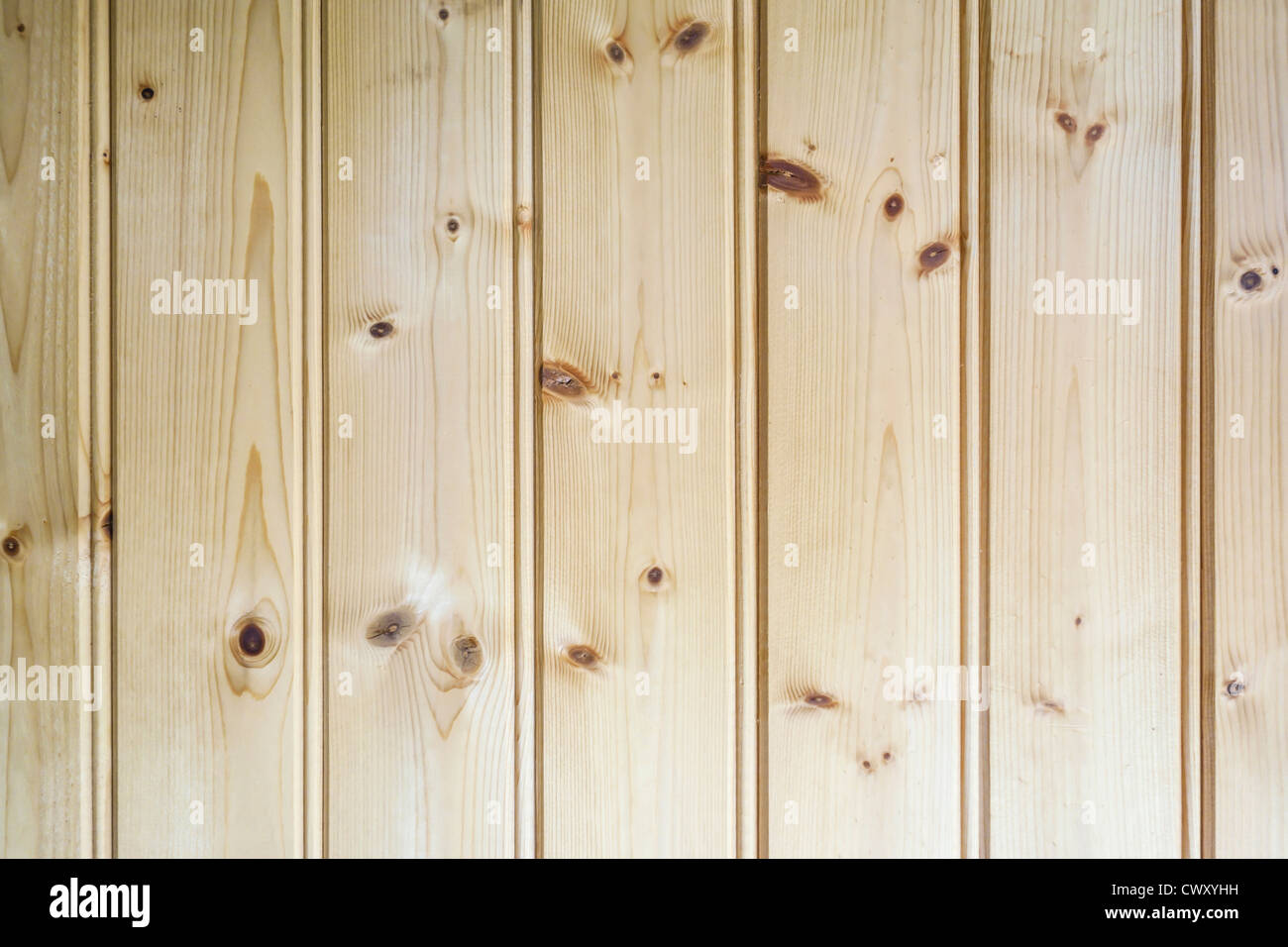 Textur der Holzboden Hintergrund Stockfoto