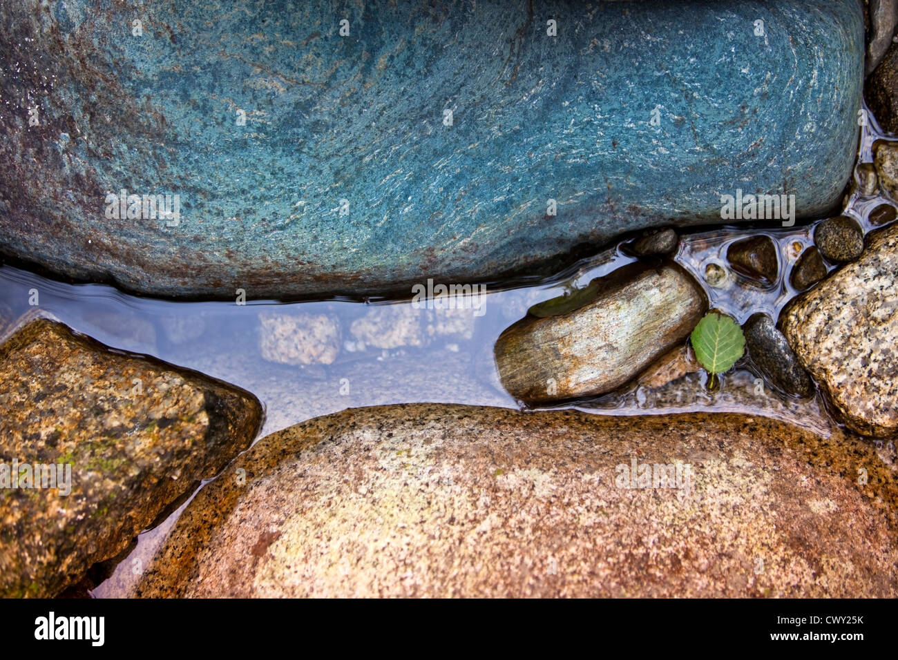 Körper des Wassers zwischen sanften Farbsteine mit einem winzigen grünen Blatt. Stockfoto