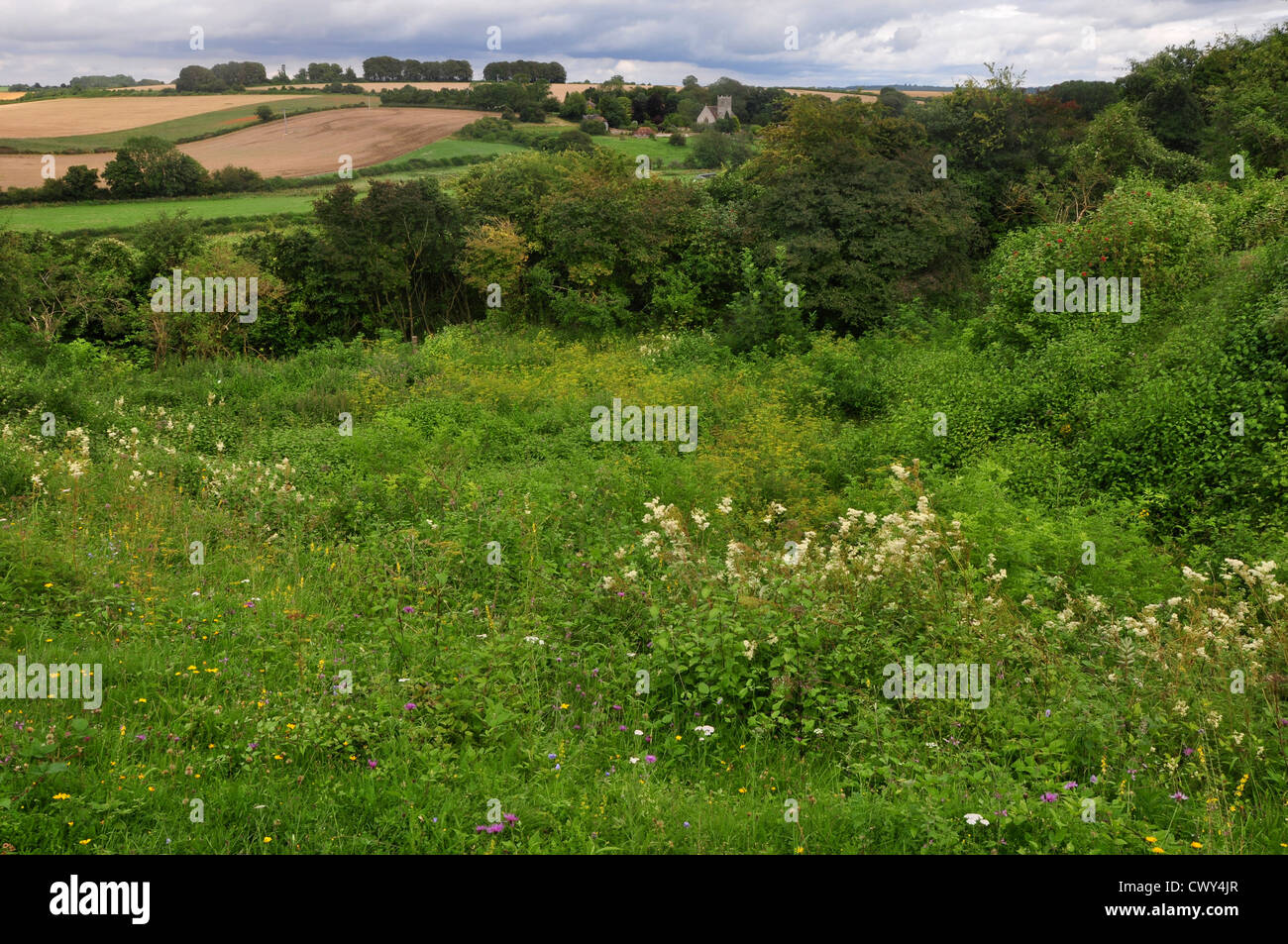 Sovell unten DWT-Naturschutzgebiet in der Nähe von Gussage Allerheiligen, Dorset, Großbritannien Stockfoto