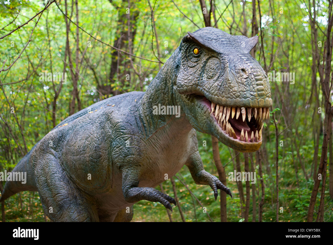 Tyrannosaurus - Dinosaurier in den dunklen Wald Stockfoto