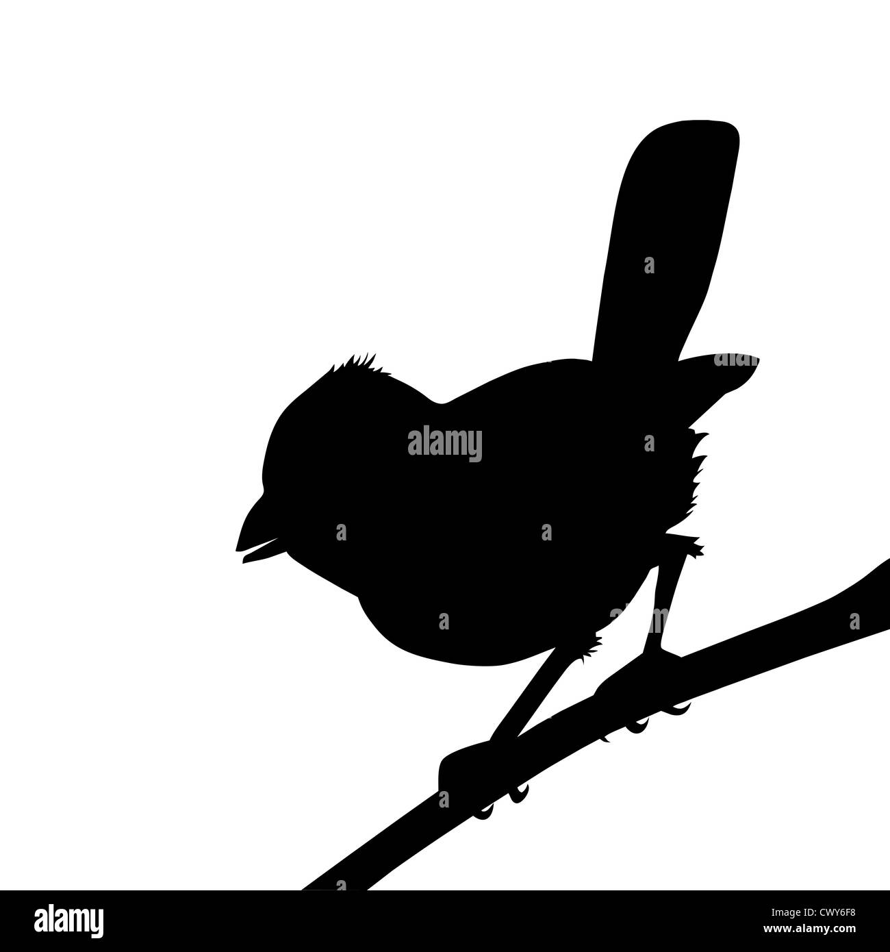 Vogel-Silhouette auf weißem Hintergrund, Vektor-illustration Stockfoto