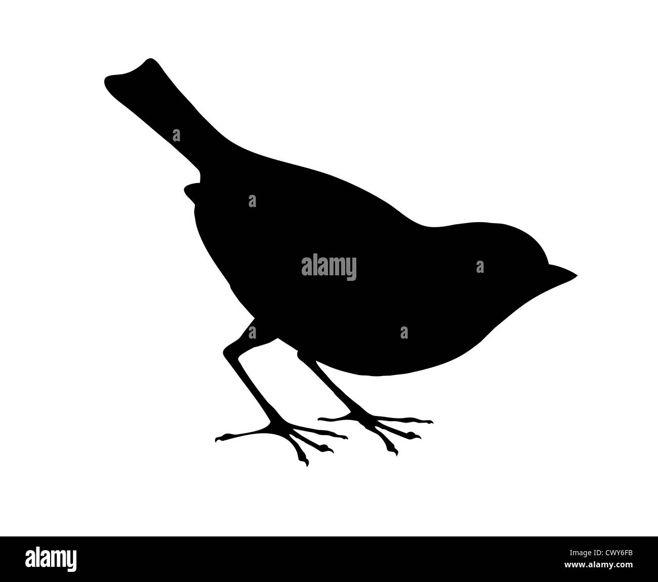 Vogel-Silhouette auf weißem Hintergrund, Vektor-illustration Stockfoto