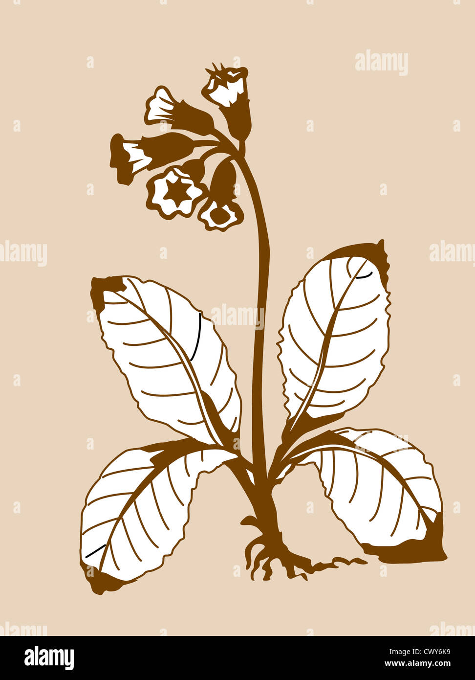 Feld-Blume-Silhouette auf braunem Hintergrund, Vektor-illustration Stockfoto