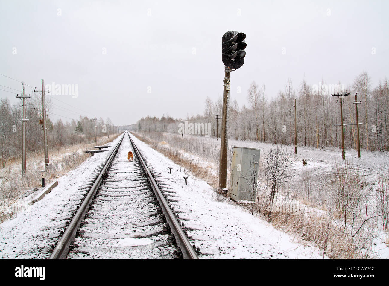 alten Semaphore auf Schnee-Bahn Stockfoto