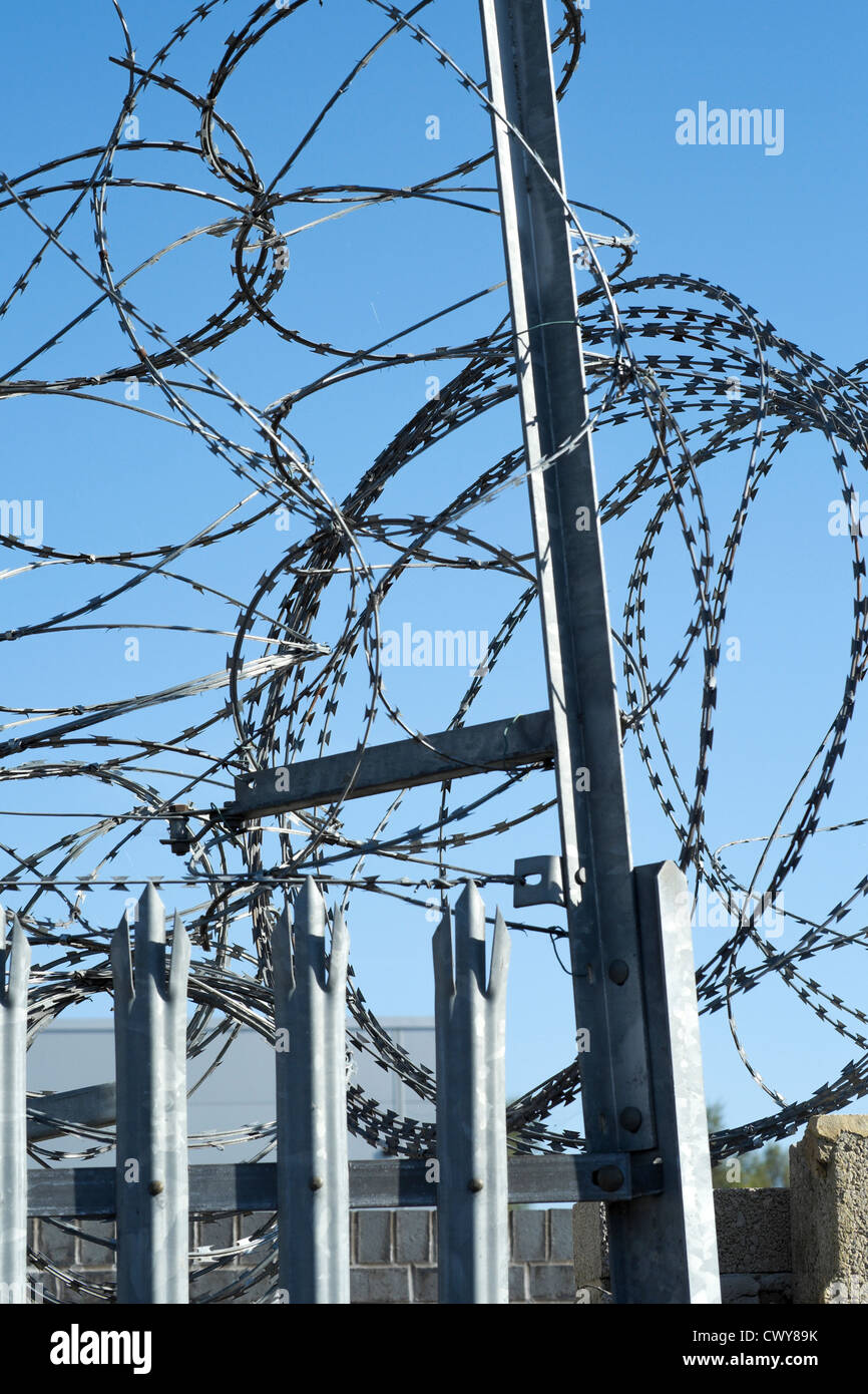 Spulen von Stacheldraht auf Spike Zaun Stockfoto