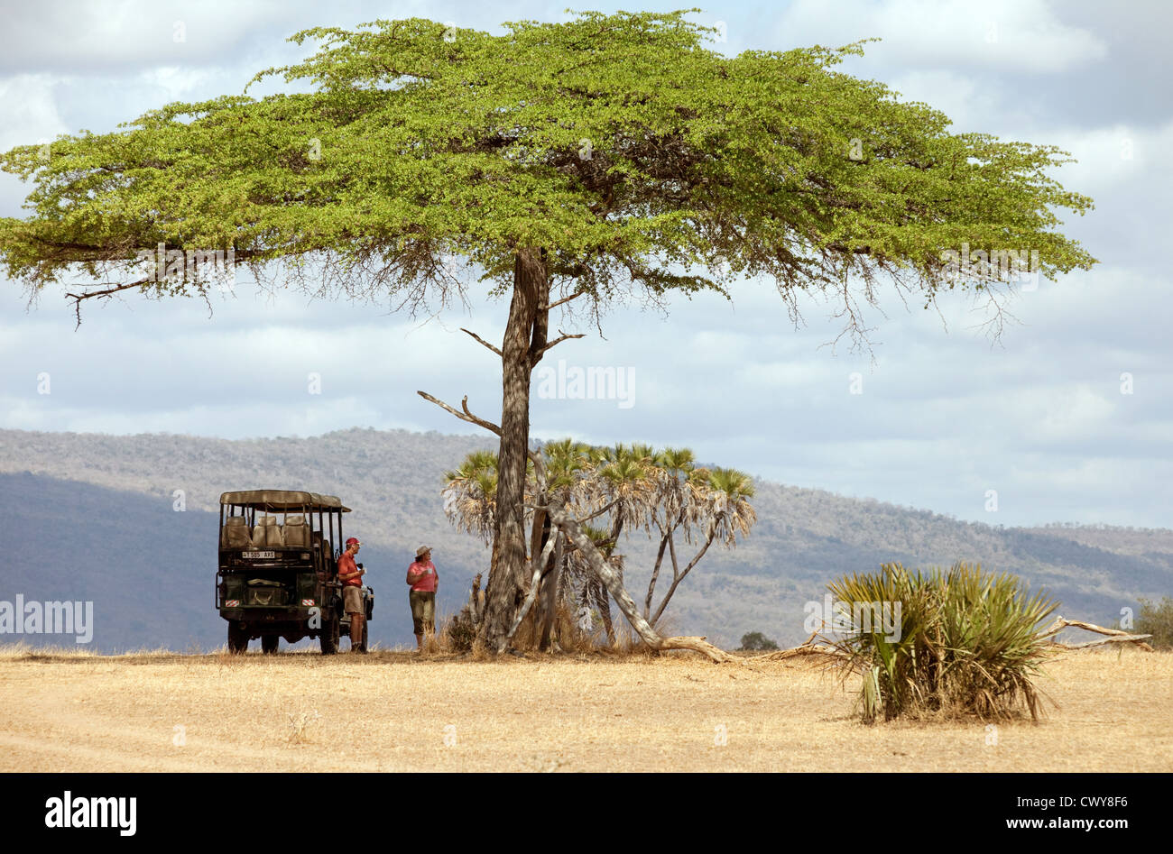 Touristen auf einer Jeep-Safari zu stoppen, zum Frühstück unter einer Akazie, das Selous game Reserve Tansania Afrika Stockfoto