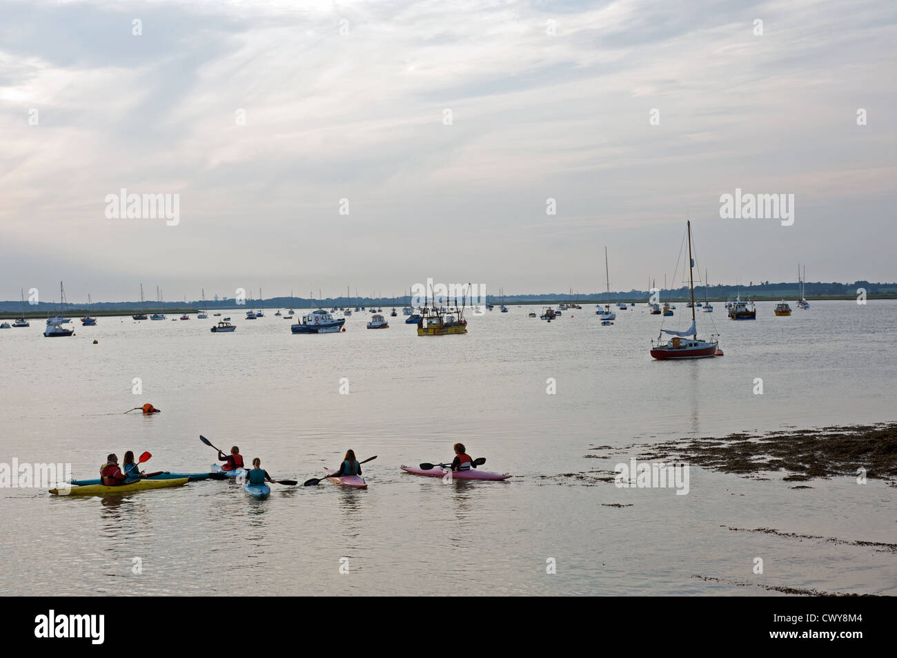 Kanuten Fluss Deben Bawdsey Ferry Suffolk UK Stockfoto