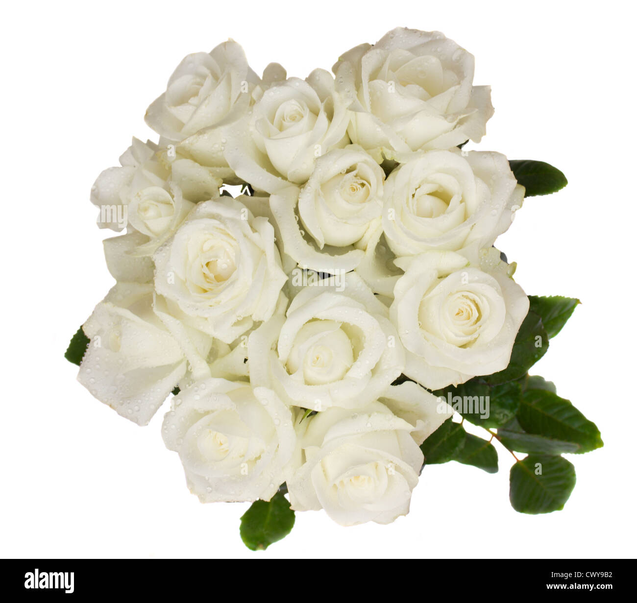 Runde Bouquet von weißen Rosen Stockfoto