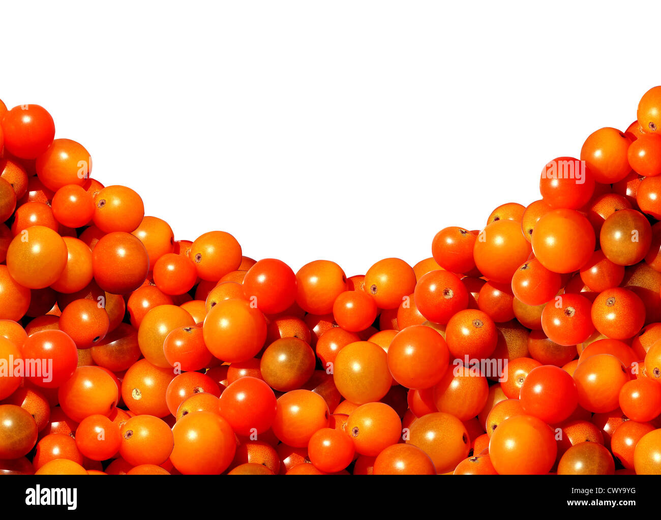 Cherry-Tomate-Grenze mit einem Haufen von saftig natürliche gemischte golden Bio Süße Tomaten stellvertretend für das Konzept des Essens. Stockfoto