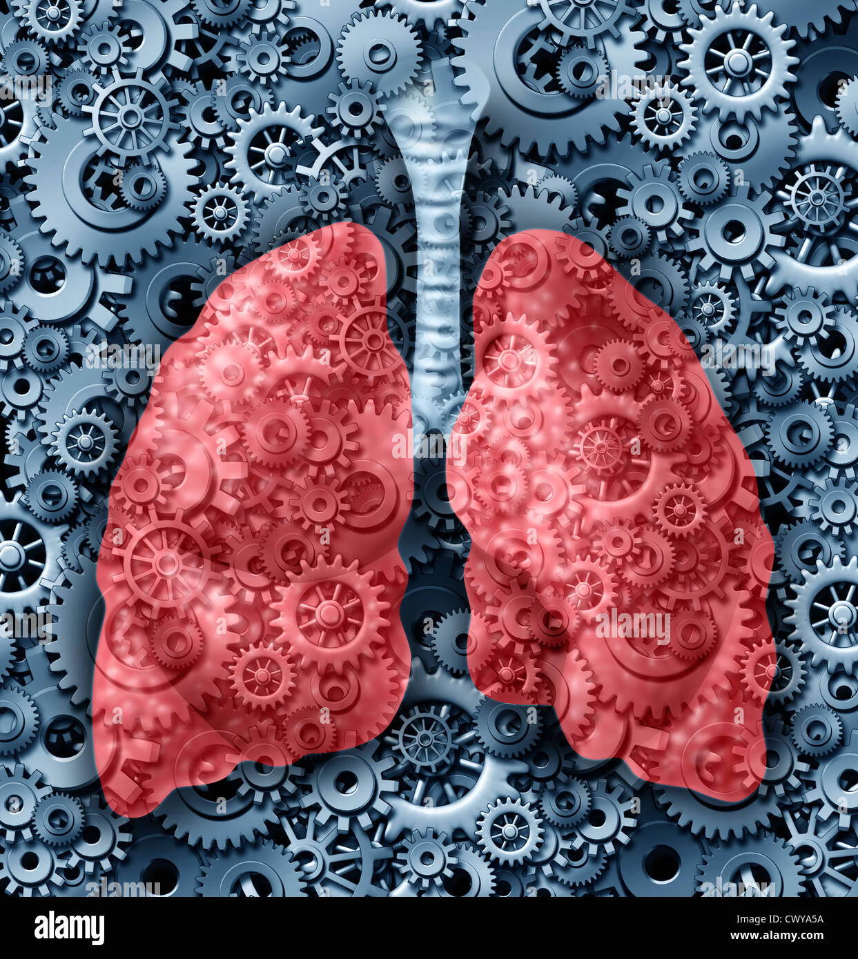 Menschliche Lunge Gesundheit medizinische Versorgung Symbol mit ...