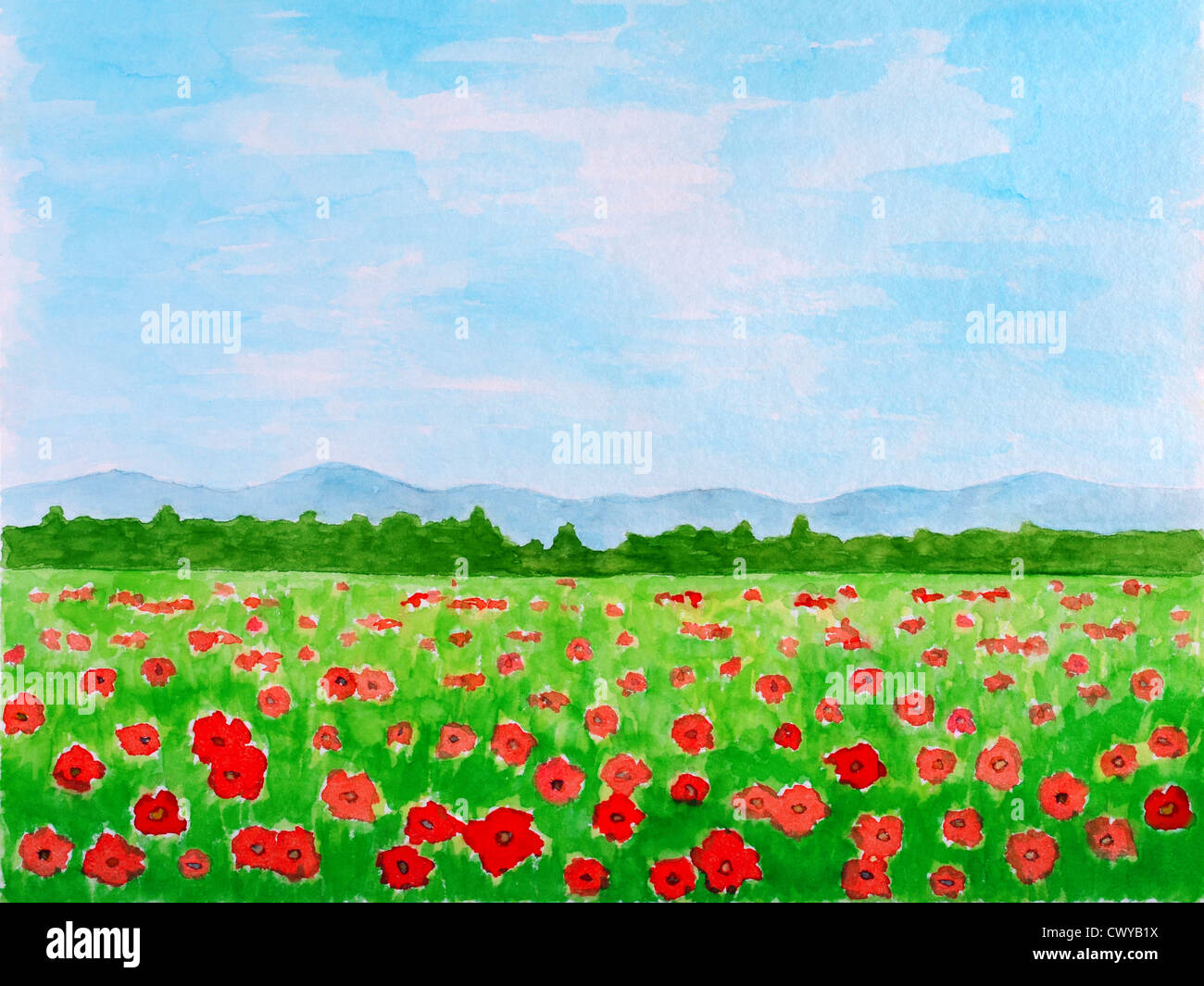 Mohn Blumen Wiese oder Sommer landschaft aquarell Hand gezeichnet und gemalt Stockfoto