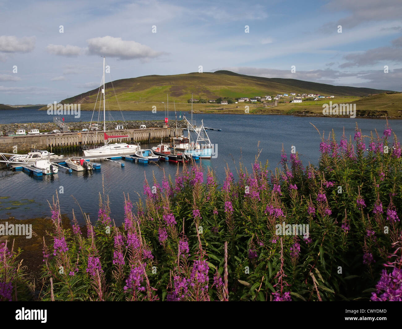 Hafen, Voe, Mainland, Shetland Stockfoto