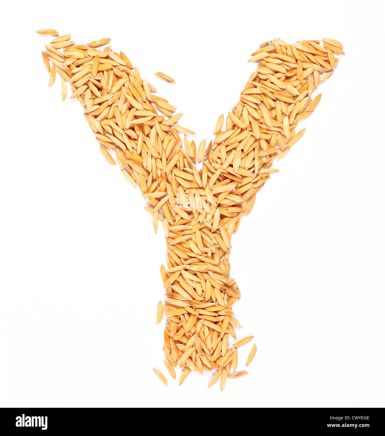 y, Alphabet, Schreiben von PaddyReis auf weiß Stockfotografie Alamy