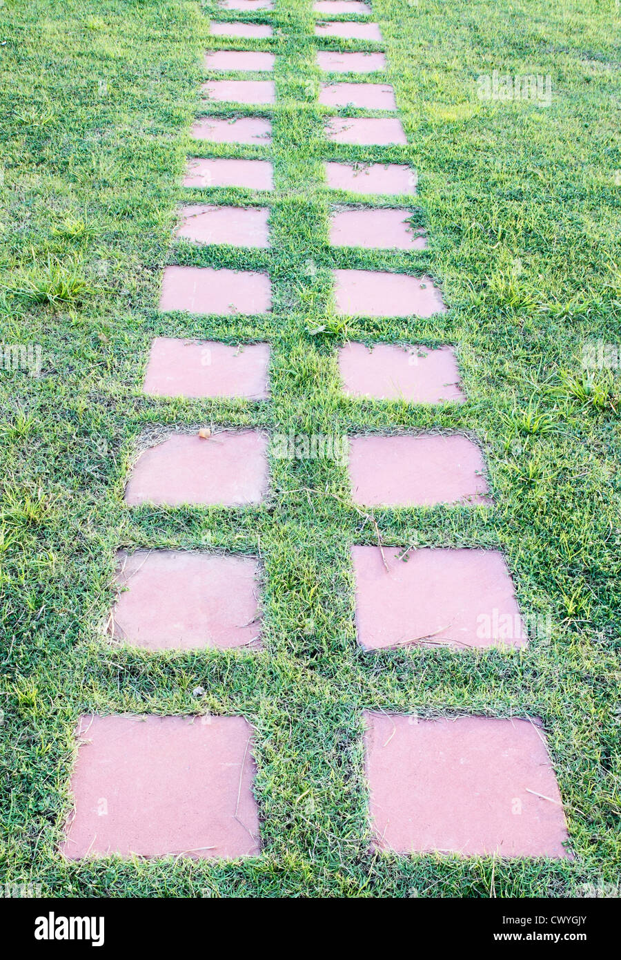 steinernen Weg in Grasgrün Stockfoto