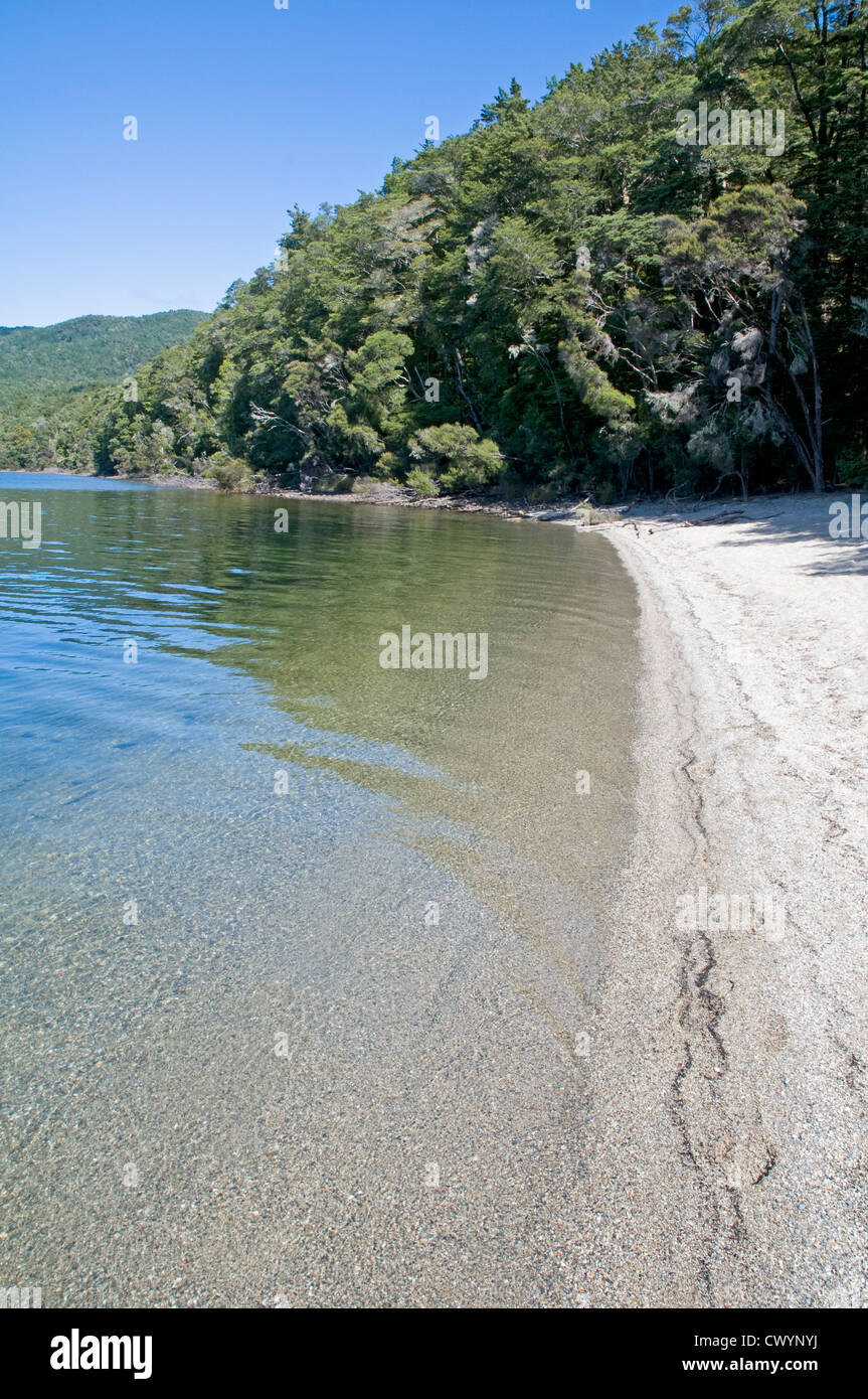 Ufer des Lake Te Anau in der Nähe der Kepler Track. Stockfoto