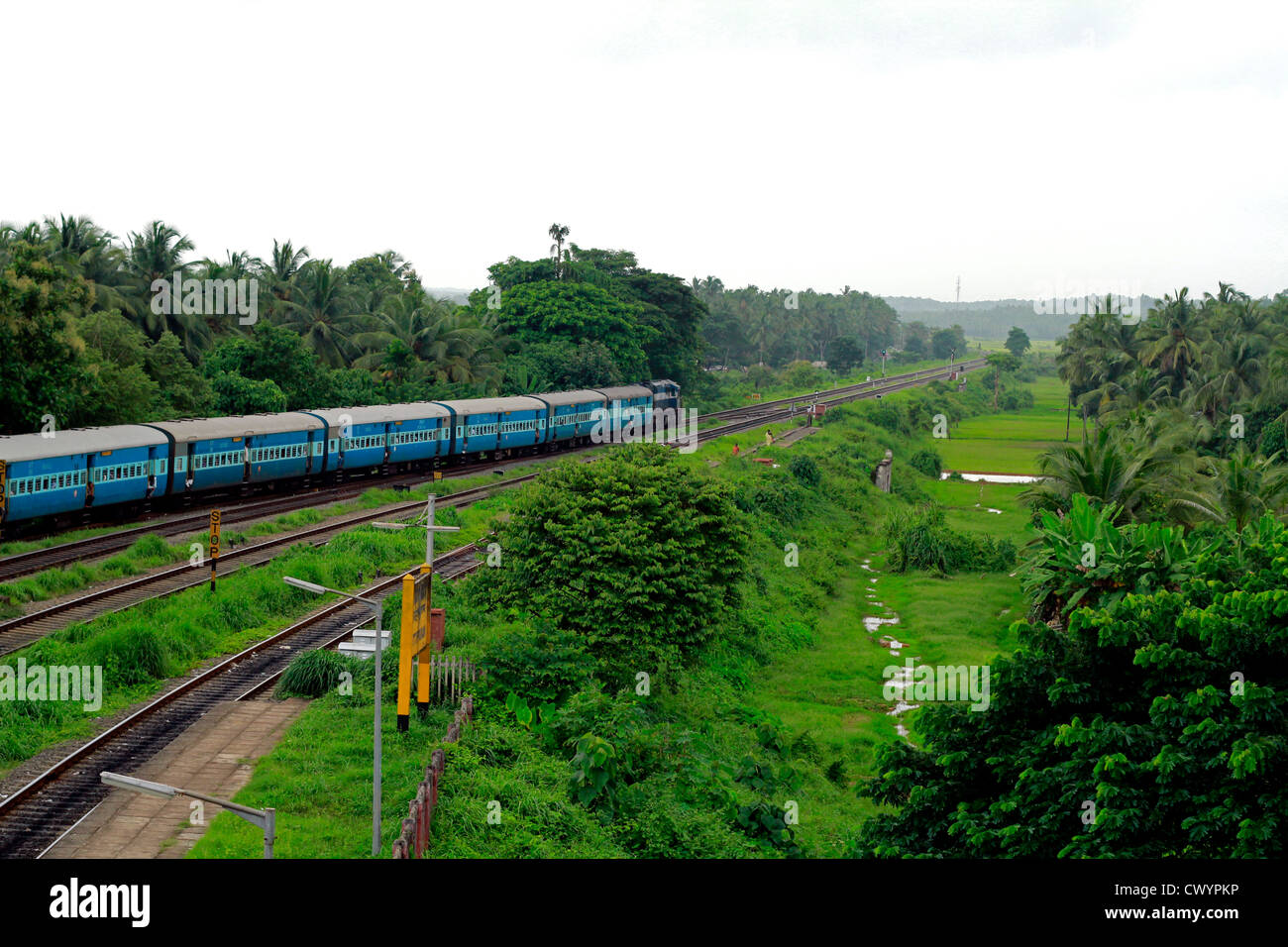 Ein Zug in Indien Tuckern entlang Grün in Kuttipuram, kerala Stockfoto