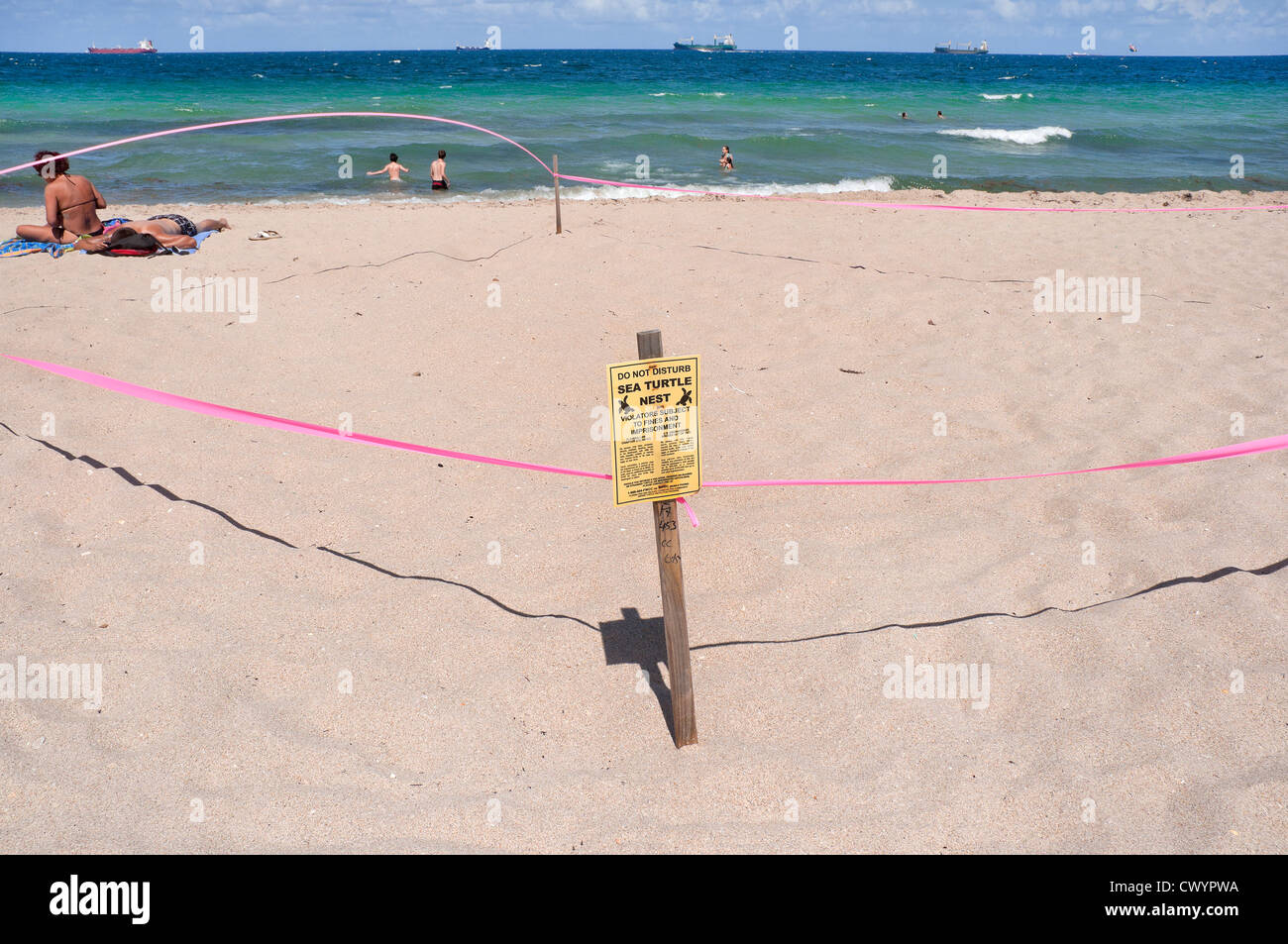 Ft Lauderdale Beach Florida geschützten Nistplatz der Meeresschildkröte am Strand entlang. Stockfoto