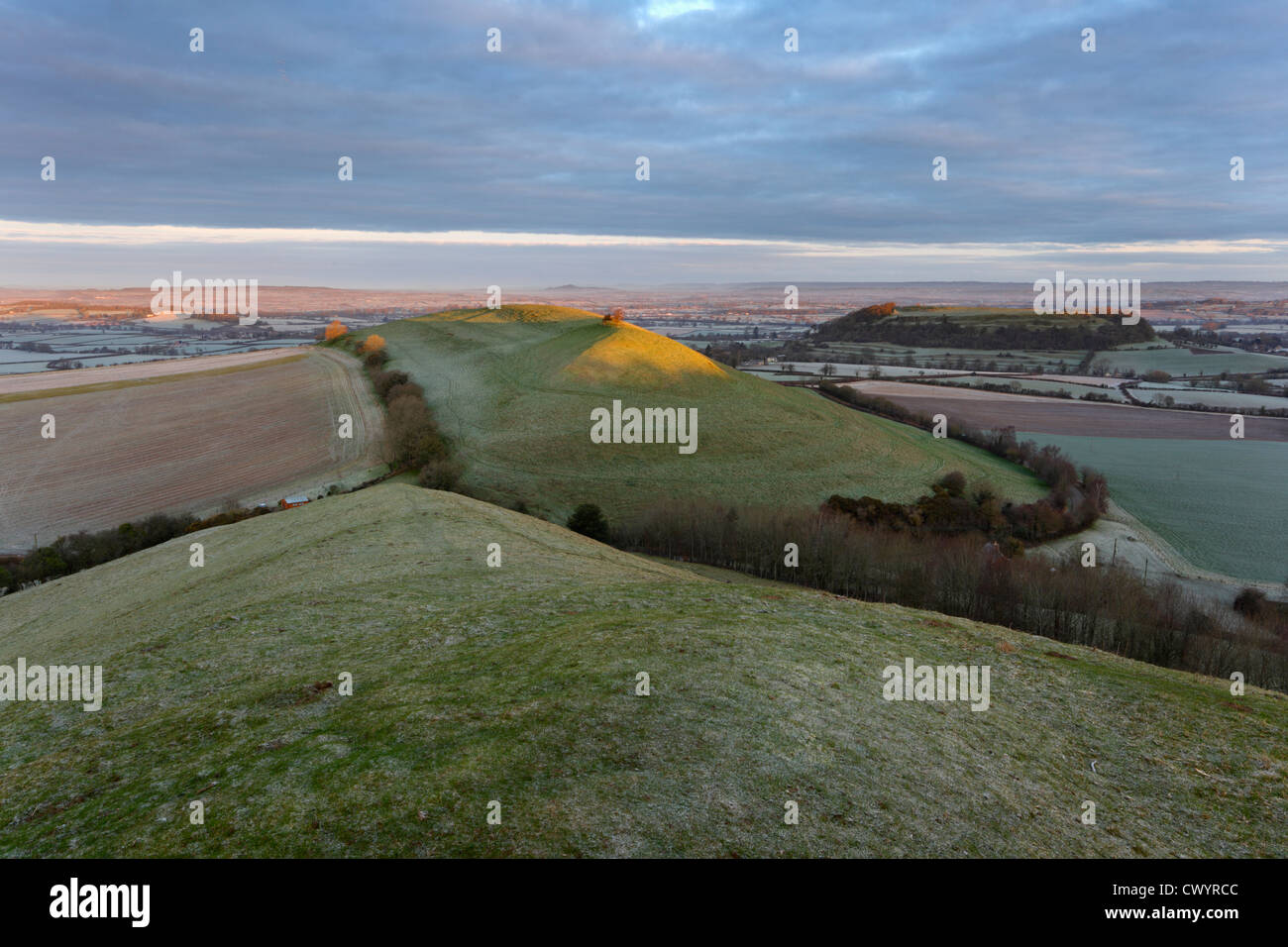 Blick Richtung Parrock Hill, Cadbury Castle und Glastonbury Tor in der Ferne. Sunrise. Somerset. England. VEREINIGTES KÖNIGREICH. Stockfoto
