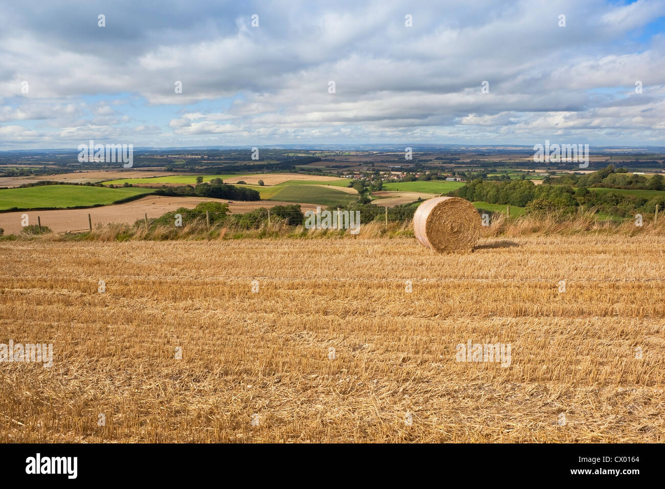 Spätsommer englischen Landschaftsgarten mit bewölktem Himmel über die Muster und Texturen der Patchwork-Felder der Yorkshire wolds Stockfoto