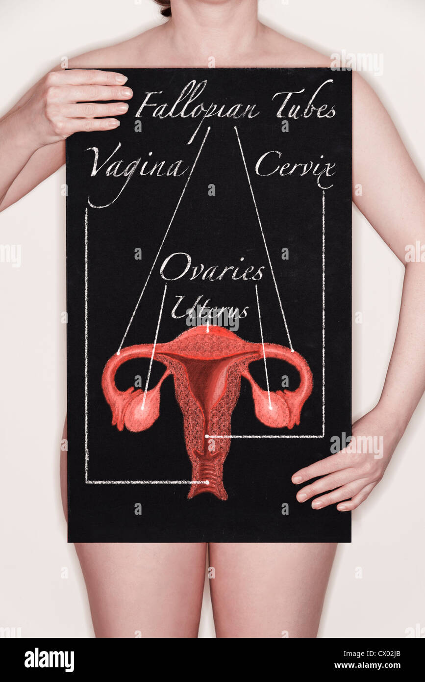 Frau mit einer Tafel mit dem Titel Abbildung der weiblichen Geschlechtsorgane in Kreide gezeichnet. Konzept Bild Stockfoto