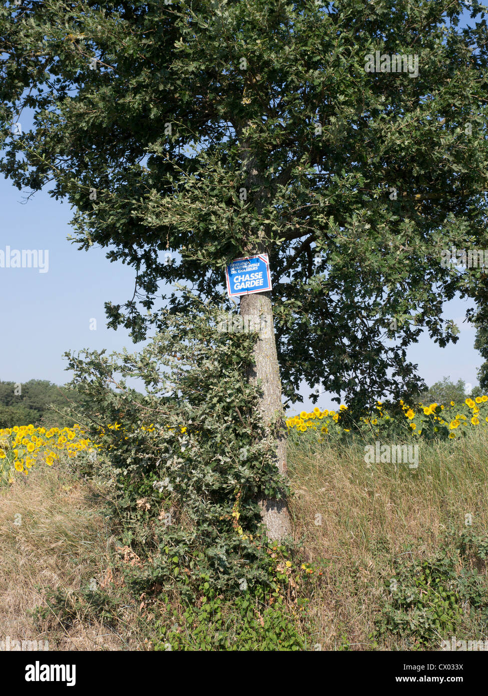 Straßenrand in Aude, Languedoc, Frankreich Ihnen mitteilt, dass Jagd private melden, chasse gardee Stockfoto