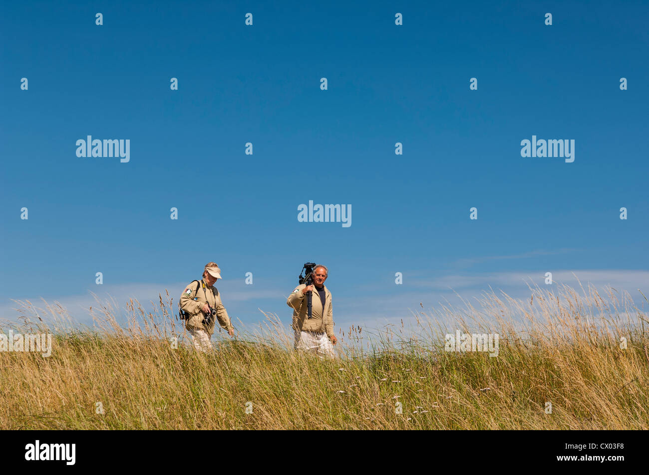 Ein paar der Vogelbeobachter am Minsmere RSPB Vogelreservat in Suffolk, England, Großbritannien, Vereinigtes Königreich Stockfoto