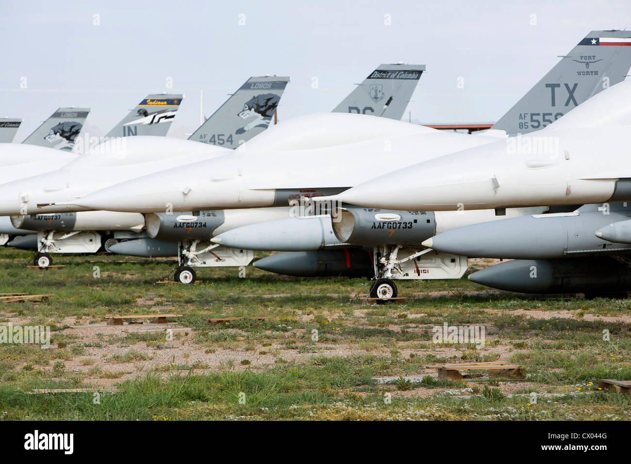 F-16 Fighting Falcon Flugzeuge in der Lagerung bei der 309. Aerospace Maintenance and Regeneration Group an Davis-Monthan AFB. Stockfoto