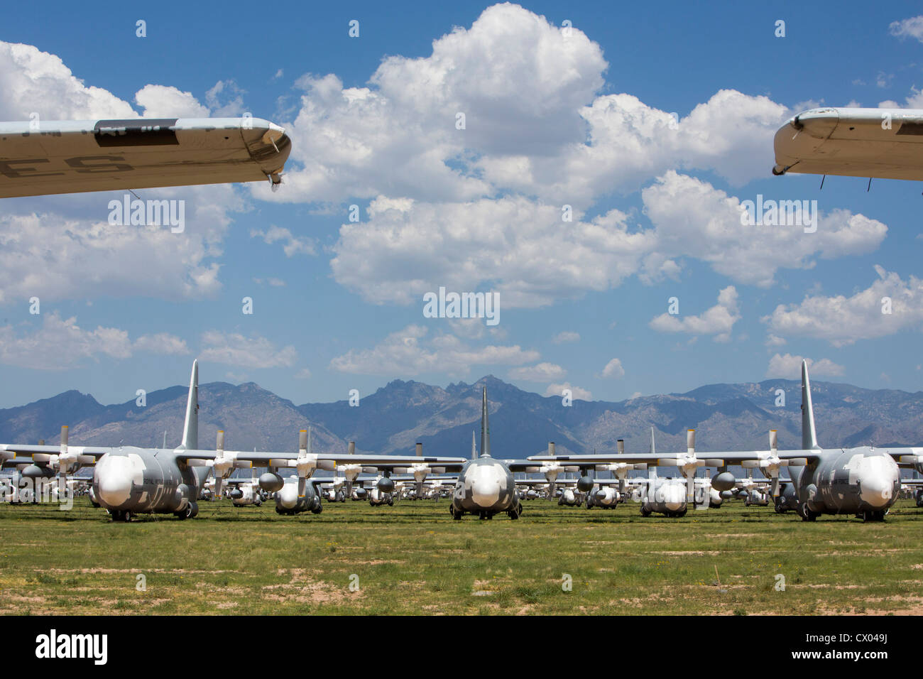 Lockheed C-130 Hercules-Flugzeuge in der Lagerung bei der 309. Aerospace Maintenance and Regeneration Group an Davis-Monthan AFB. Stockfoto