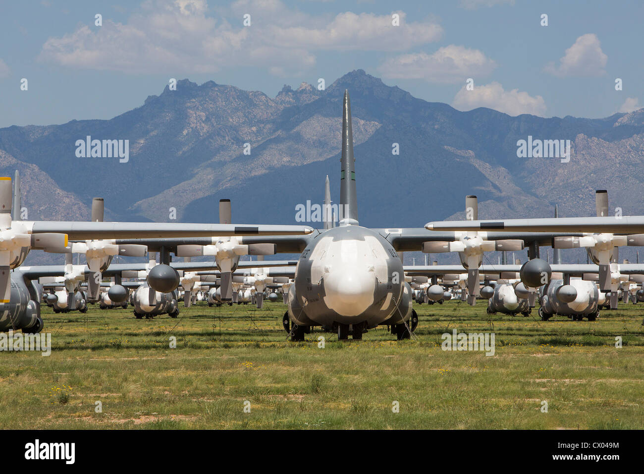 Lockheed C-130 Hercules-Flugzeuge in der Lagerung bei der 309. Aerospace Maintenance and Regeneration Group an Davis-Monthan AFB. Stockfoto