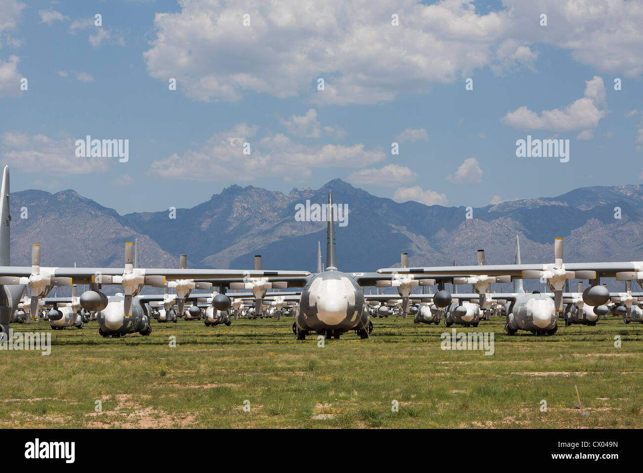 Lockheed C-130 Hercules-Flugzeuge in der Lagerung bei der 309. Aerospace Maintenance and Regeneration Group an Davis-Monthan AFB. Stockfoto