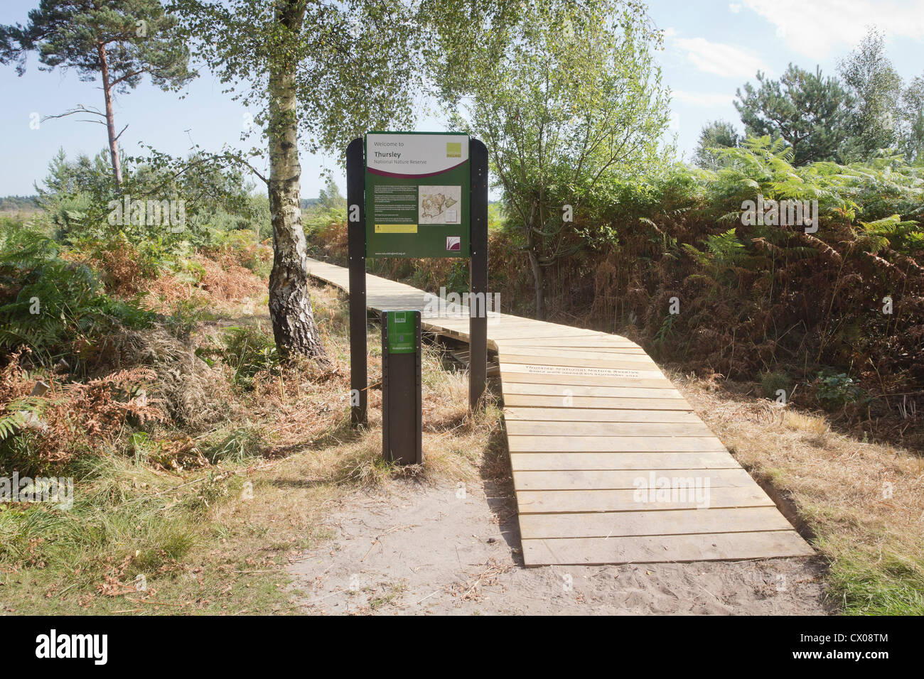 Vor kurzem eröffnete Promenade über Feuchtgebiet. Thursley gemeinsamen nationalen Naturschutzgebiet, Surrey, UK. Stockfoto