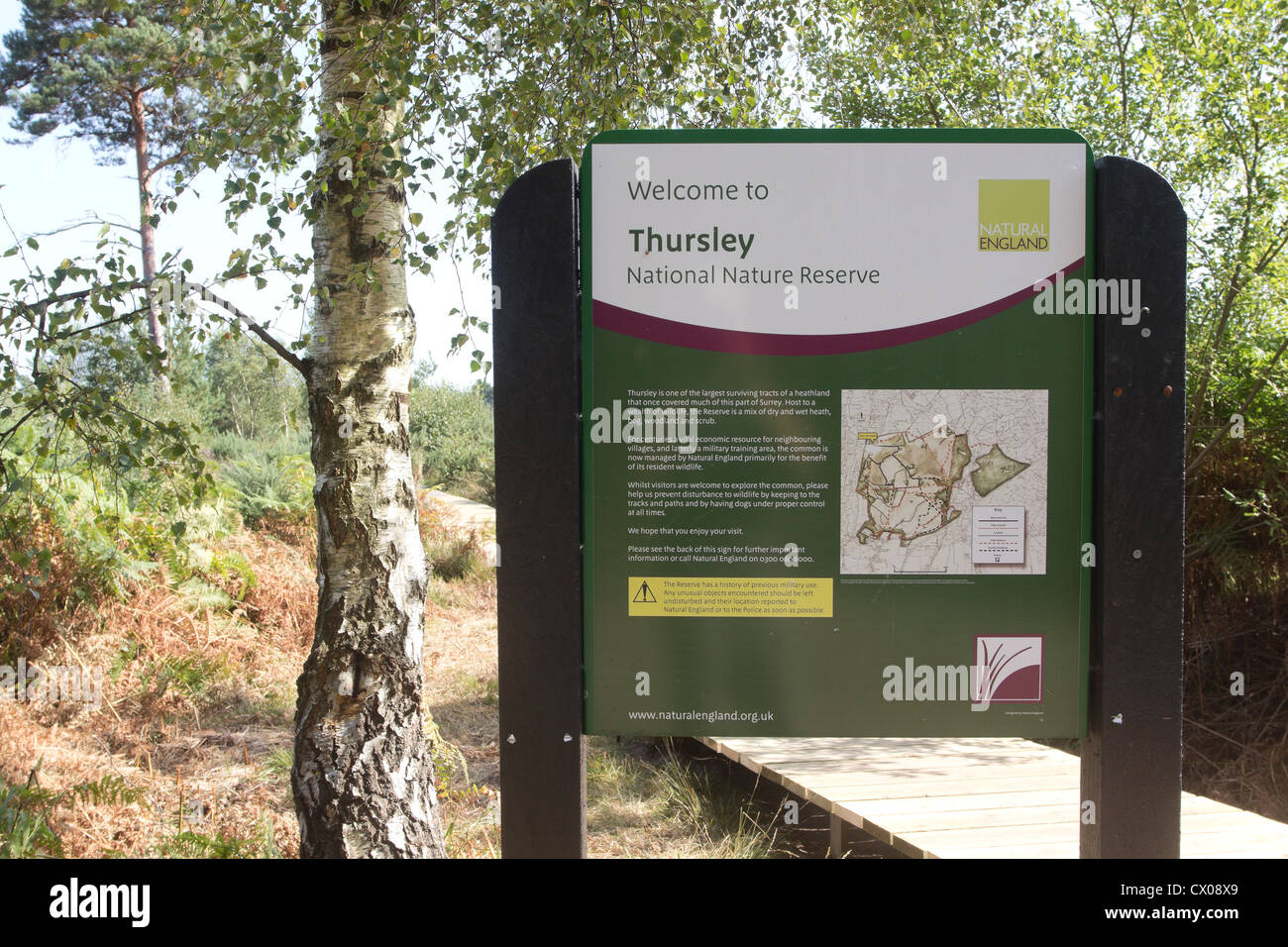 Vor kurzem eröffnete Promenade über Feuchtgebiet. Thursley gemeinsamen nationalen Naturschutzgebiet, Surrey, UK. Stockfoto