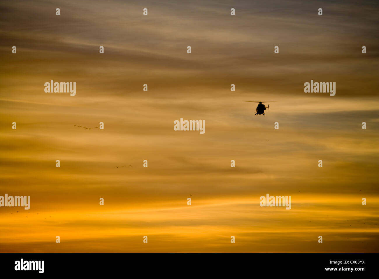 Die Dorset-Polizei-Hubschrauber fliegen bei Sonnenuntergang. Stockfoto