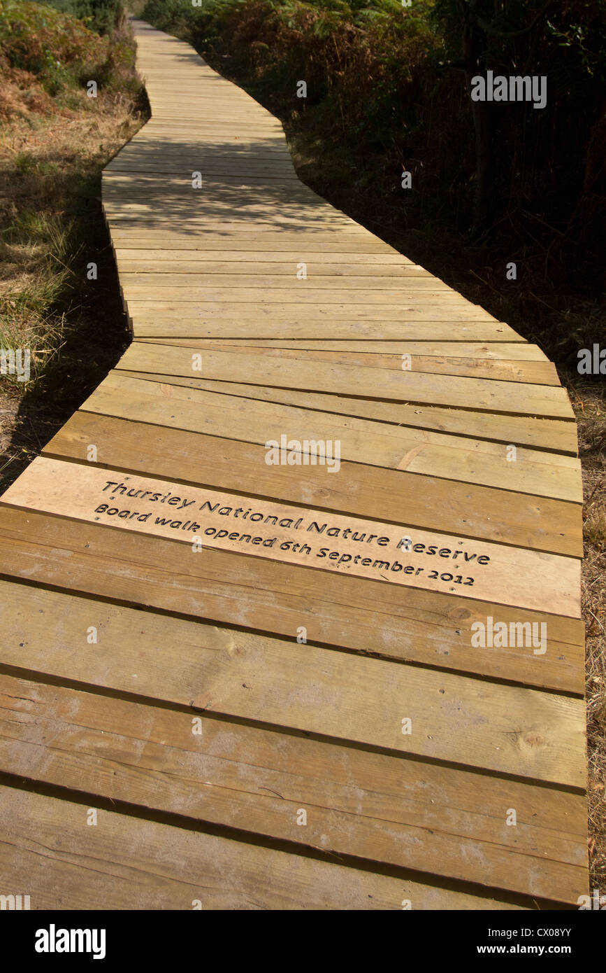 Vor kurzem eröffnete Promenade über Feuchtgebiet. Thursley gemeinsamen nationalen Naturschutzgebiet, Surrey, UK. Stockfoto