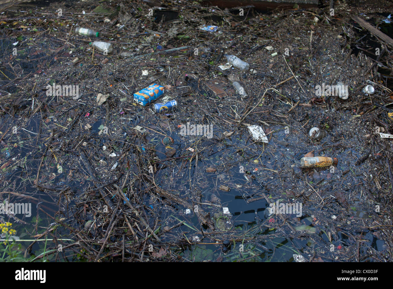 Wasserverschmutzung, Themse, in der Nähe von Richmond Stockfoto