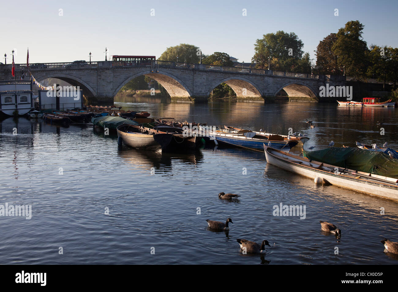 Ankern Boote in der Themse in der Nähe von Richmond Bridge, Richmond Upon Thames, Großbritannien Stockfoto