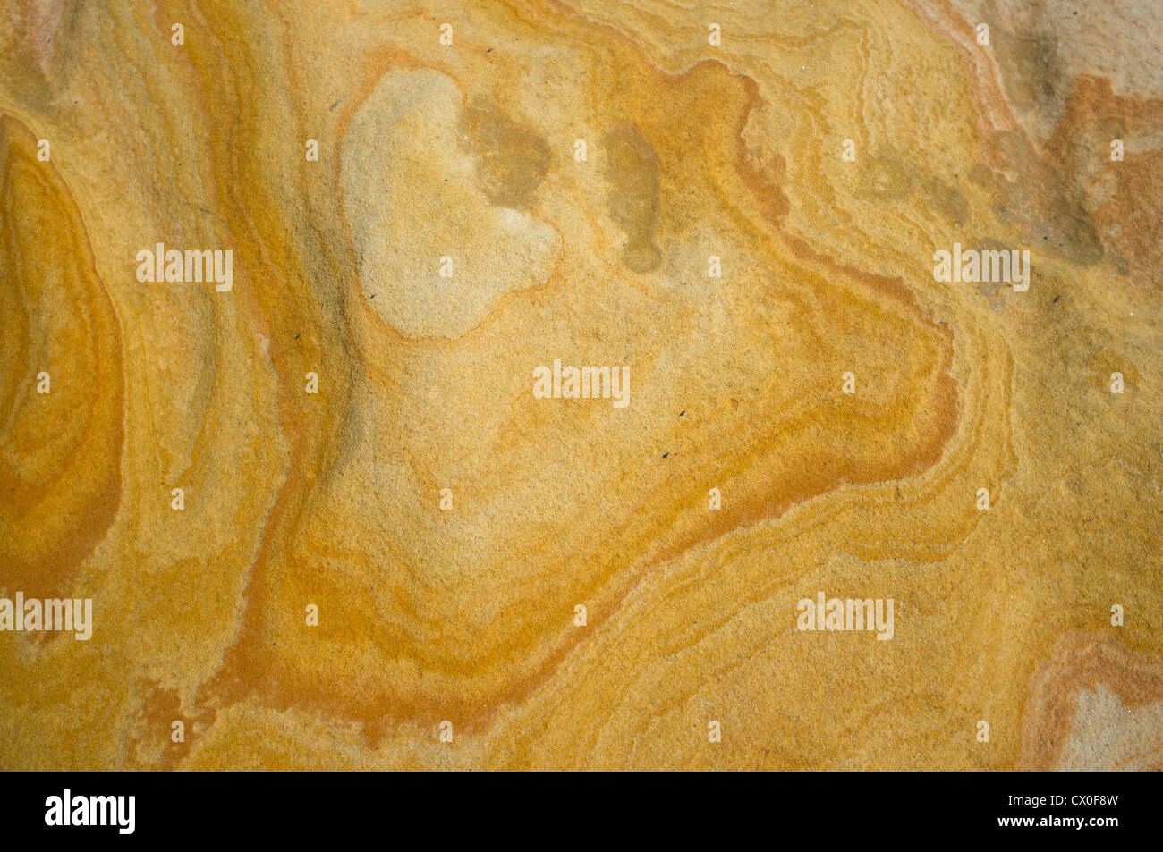 Detail der Felsoberfläche Kalkstein Stockfoto