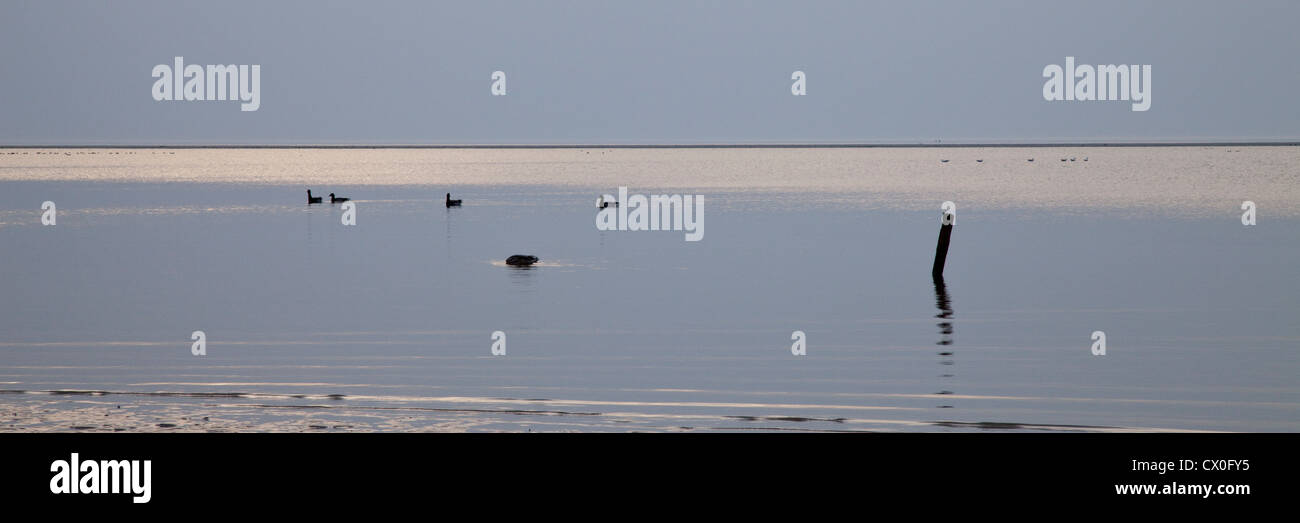 National-Park Wattenmeer, Insel Spiekeroog, Ostfriesland, Niedersachsen, Deutschland, Europa Stockfoto