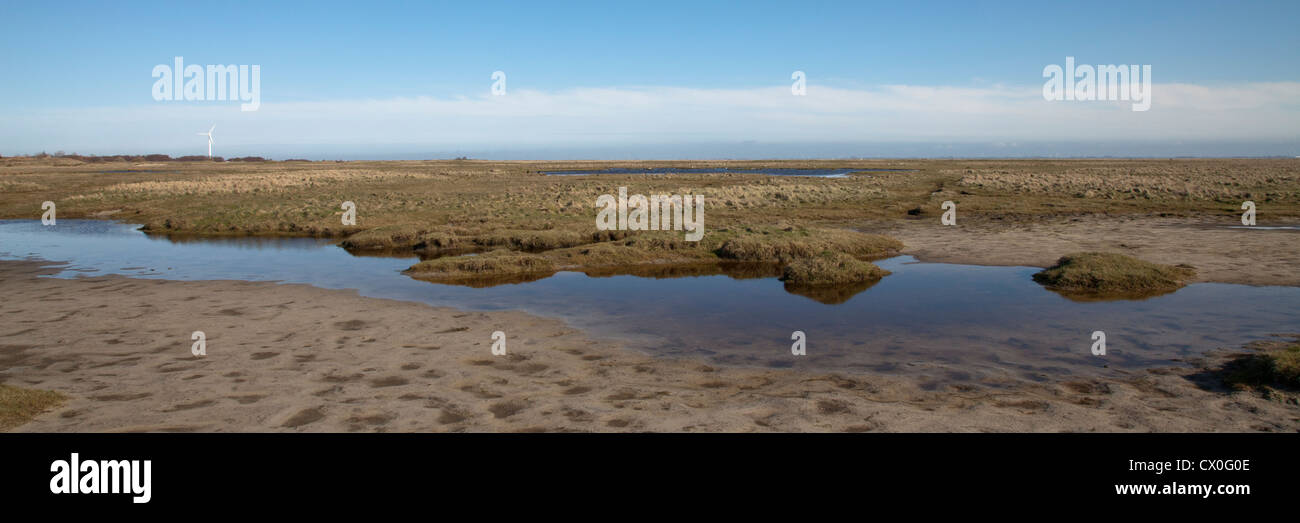 National-Park Wattenmeer, Insel Spiekeroog, Ostfriesland, Niedersachsen, Deutschland, Europa Stockfoto