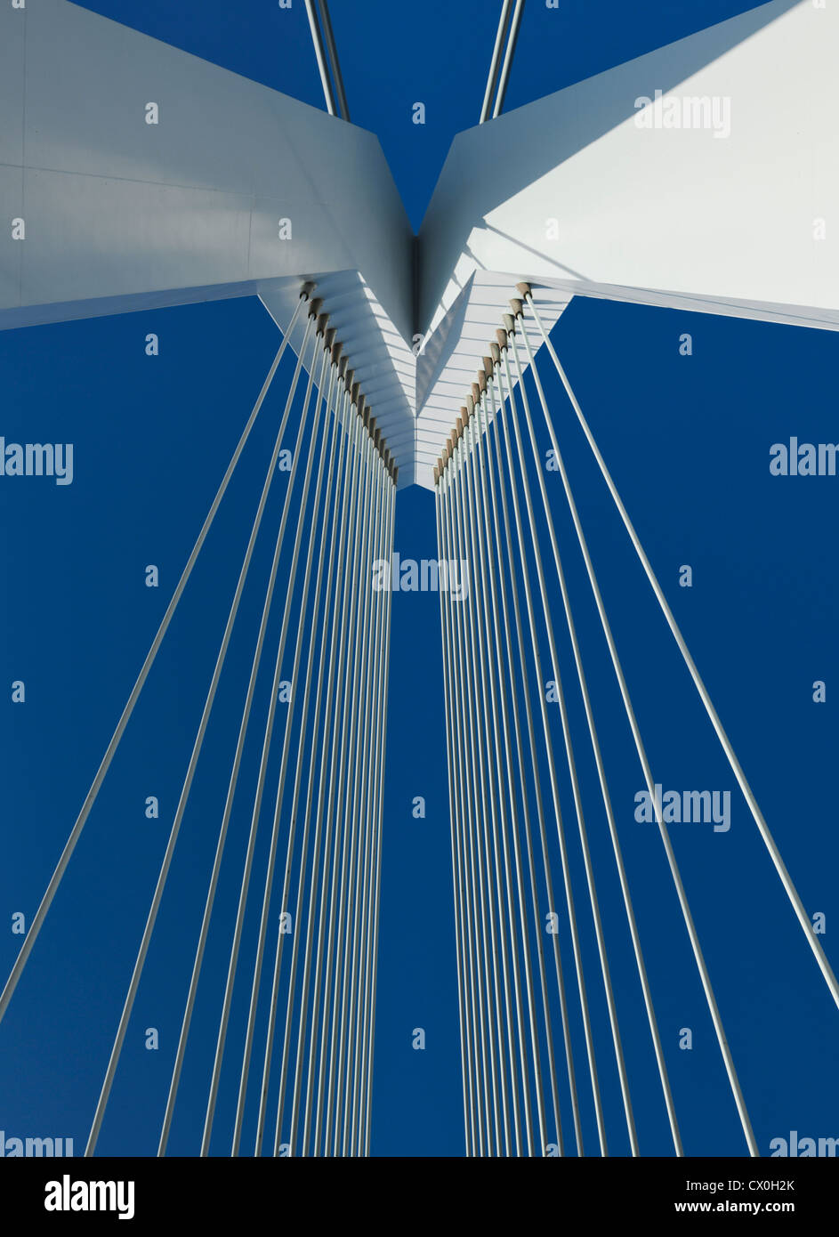 Detail der Erasmusbrücke, Rotterdam Stockfoto