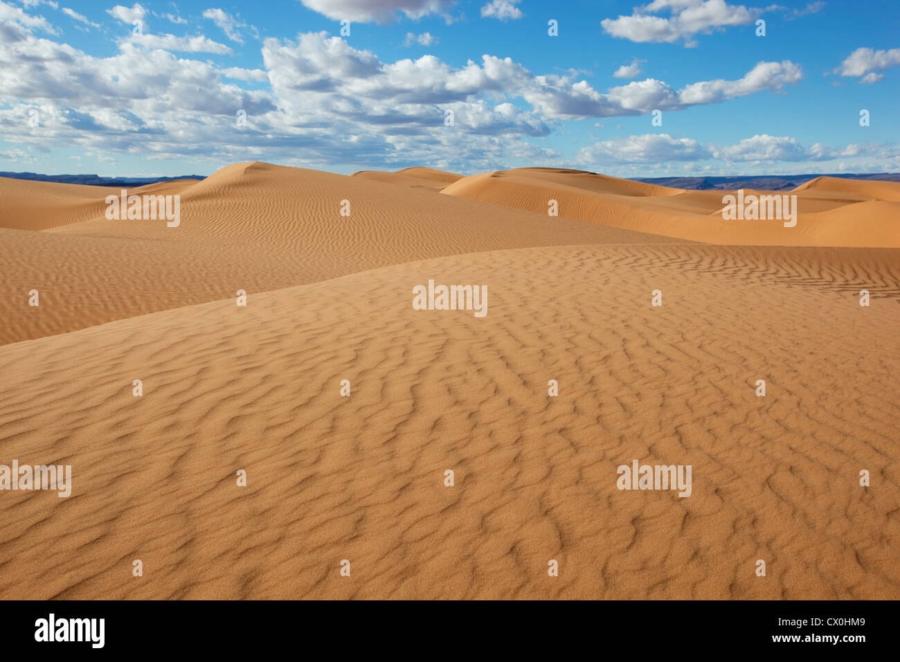 Sahara Wüste Sanddünen mit blauen Wolkenhimmel, Marokko. Stockfoto