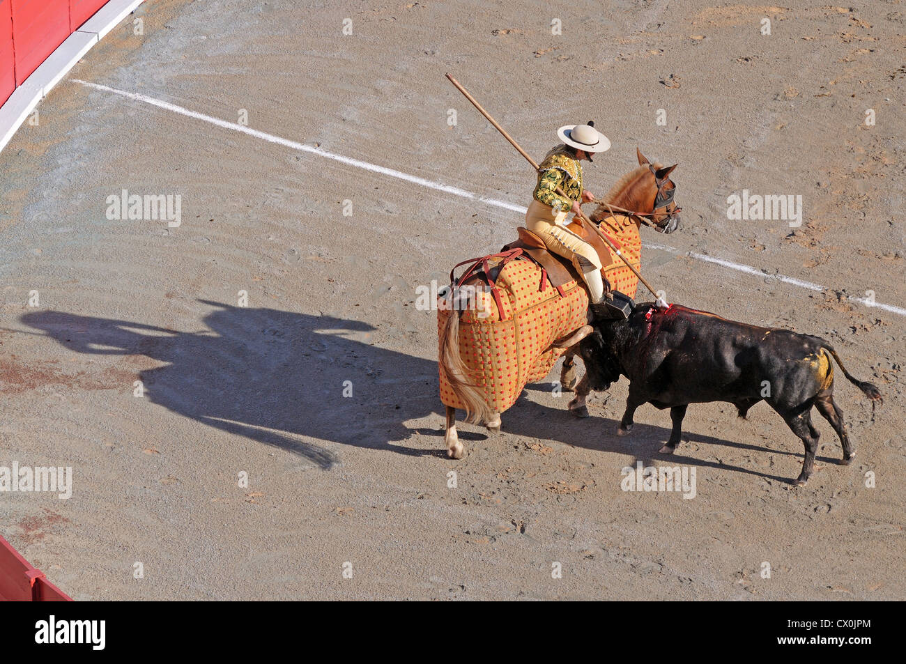 Picador auf Pferd von Pelo Lanzen Bull im Roman Arena oder Amphitheater in Arles Frankreich Bull kämpfen Corrida geschützt montiert Stockfoto
