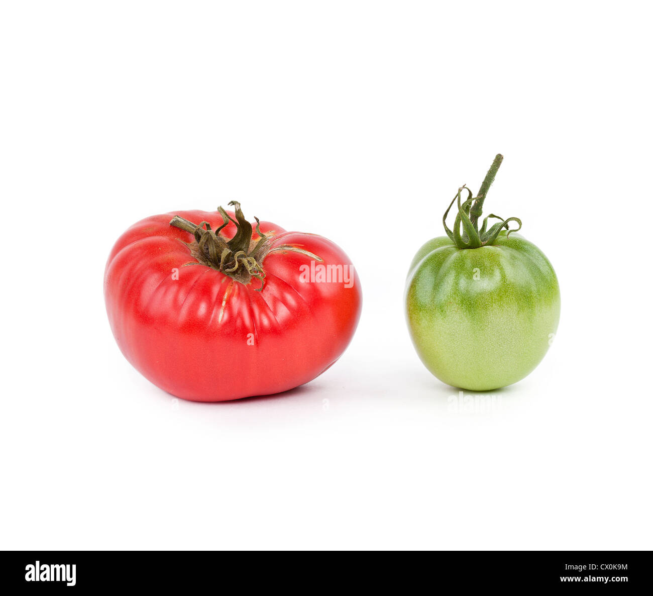 Grüne und rote Tomaten Closeup auf weißem Hintergrund Stockfoto